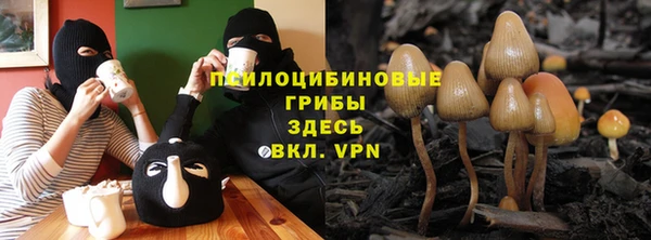 прущая мука Костерёво