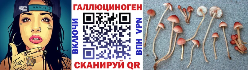 Галлюциногенные грибы Psilocybe  Краснослободск 